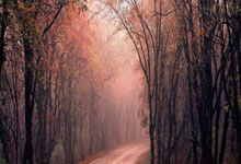 6队欧冠改制后五进决赛!巴萨上榜,尤文最为悲情,皇马特别出彩.