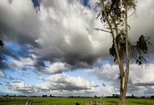 6队欧冠改制后五进决赛!巴萨上榜,尤文最为悲情,皇马特别出彩.