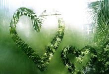 [CBA]常规赛12月2日：浙江方兴渡VS九台农商银行.